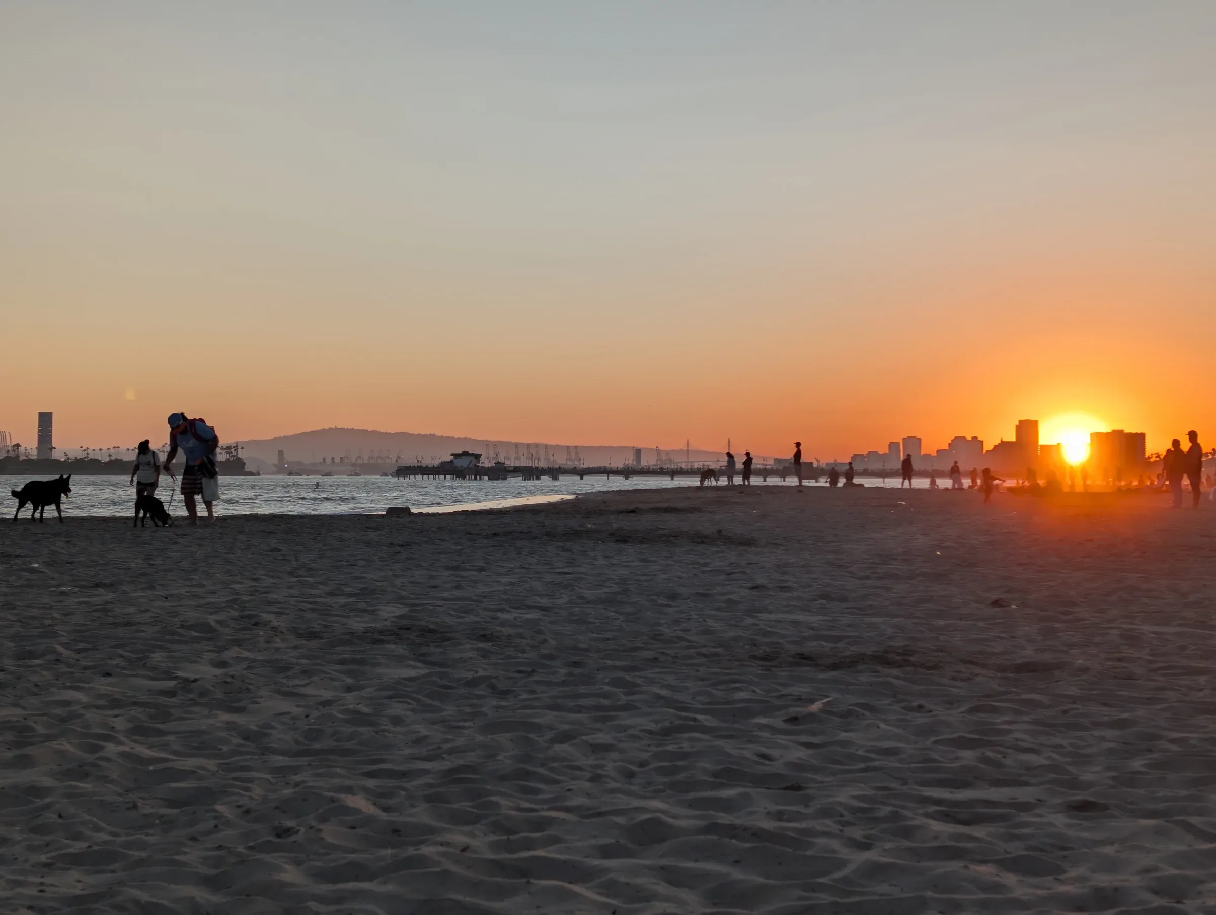 The sun setting behind a city skyline across a beach, with people and dogs in silhouette