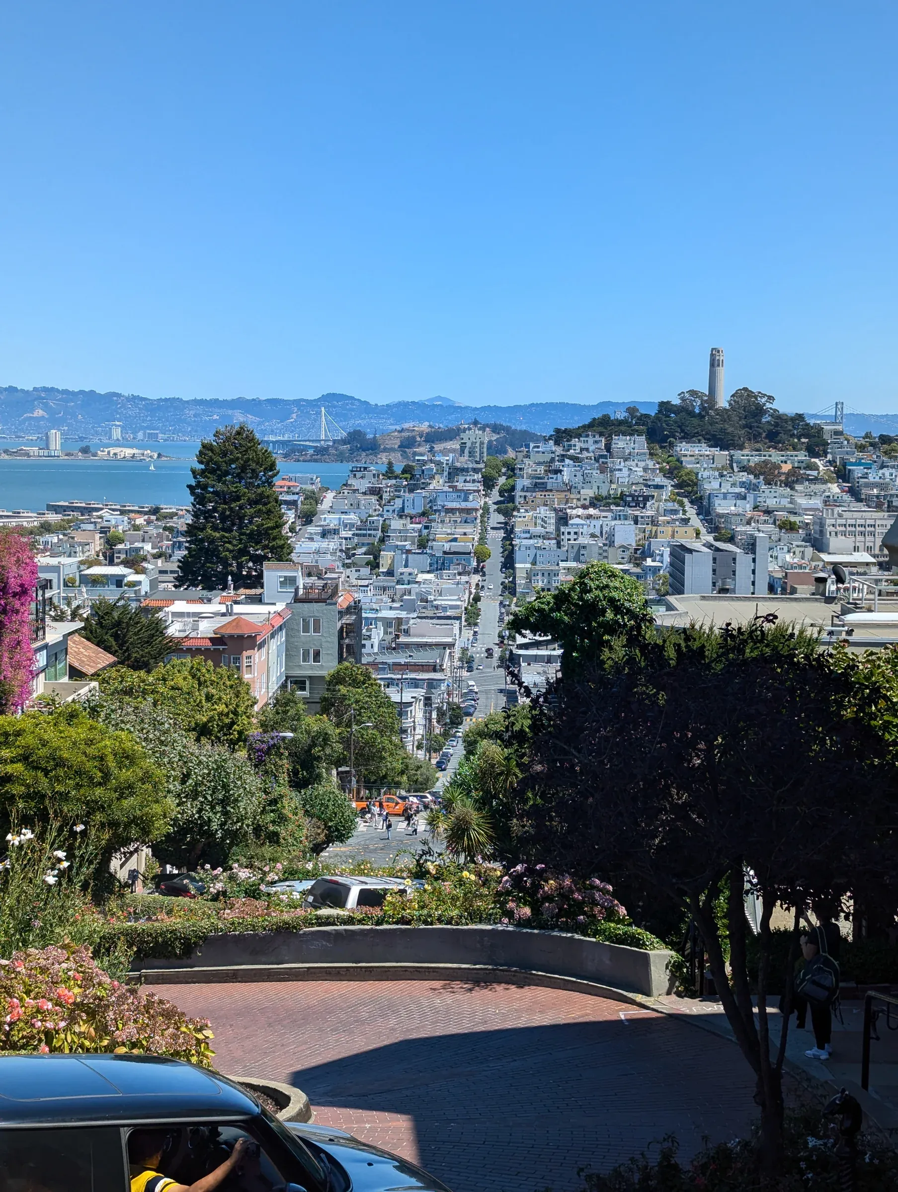 Looking down Lombard Street in San Francisco toward Coit Tower and the bay on a clear day