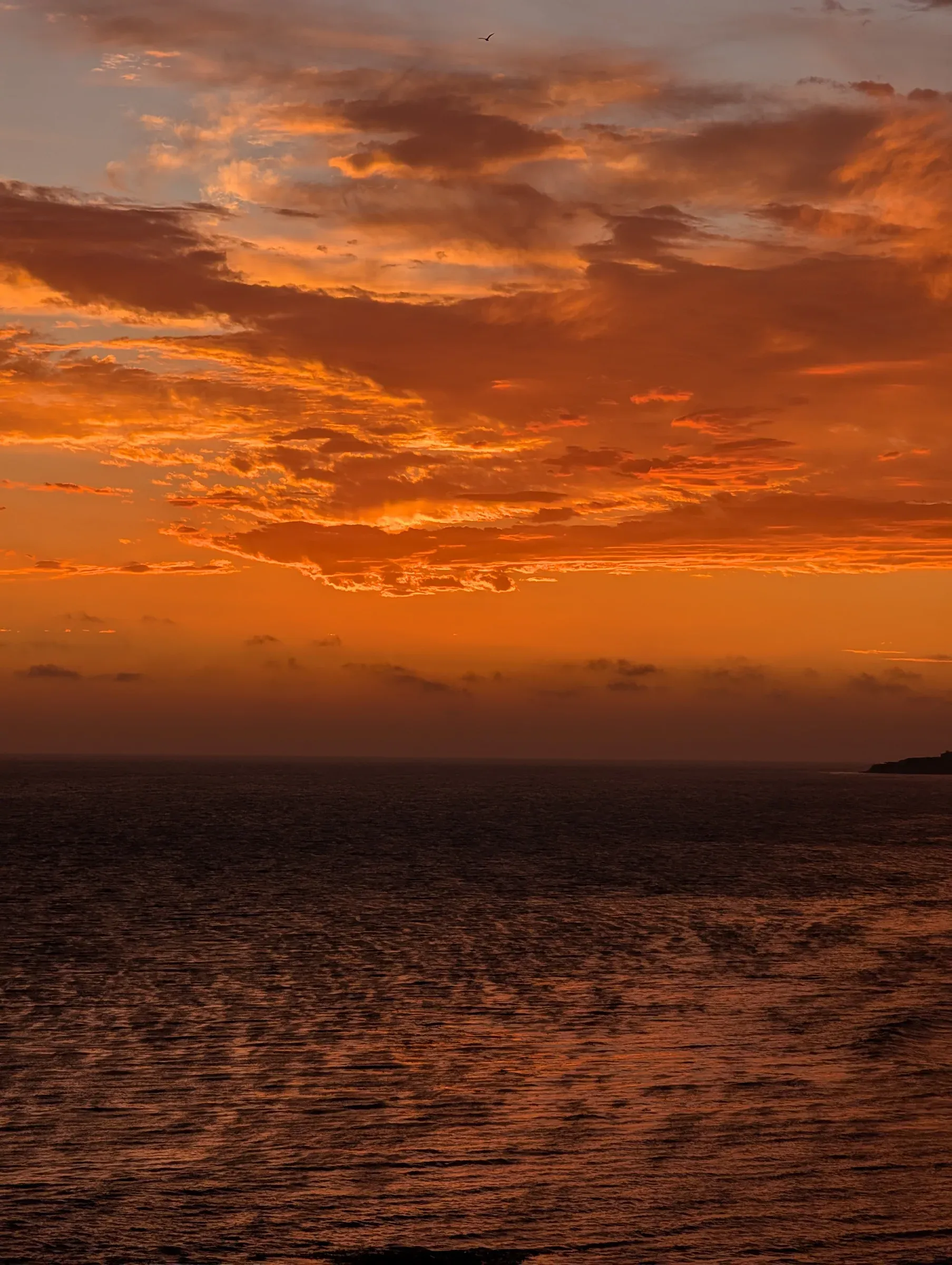 An orange sunset sky over a dark, rippling sea